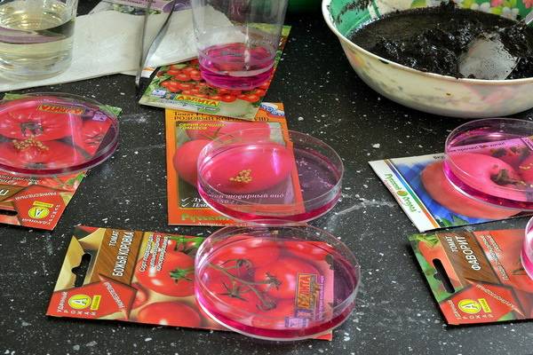 Благоприятные дни для посадки томатов в марте - фото