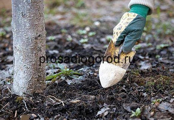 Как использовать доломитовую муку в огороде: удобрение и средство от вредит ... - фото