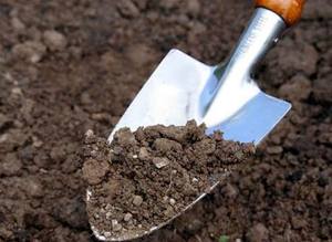Известкование почвы: когда известковать, весной или осенью? с фото
