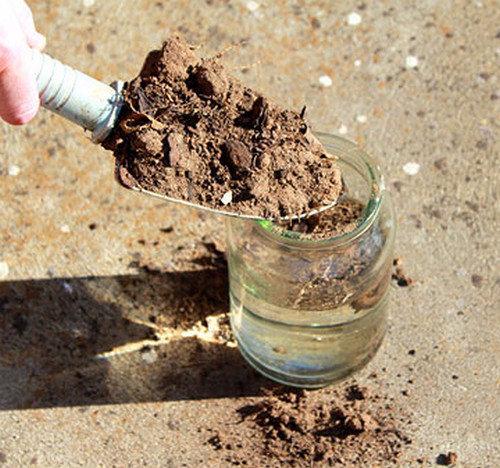 Как самостоятельно определить кислотность почвы на участке с фото