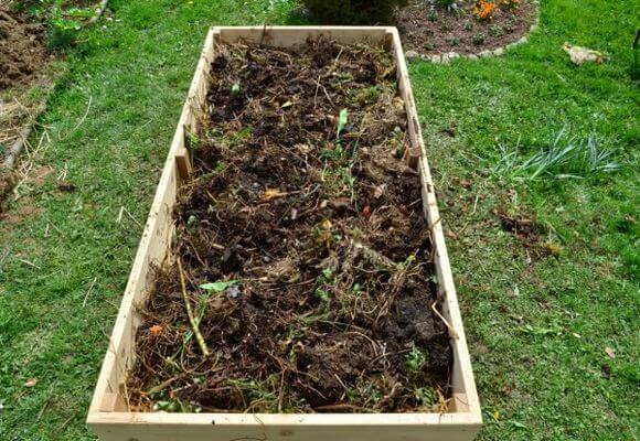 Посадка и выращивание кабачков в компостной яме с фото