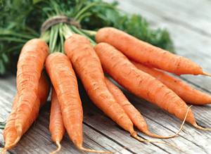 Основные вопросы агротехники выращивания моркови с фото