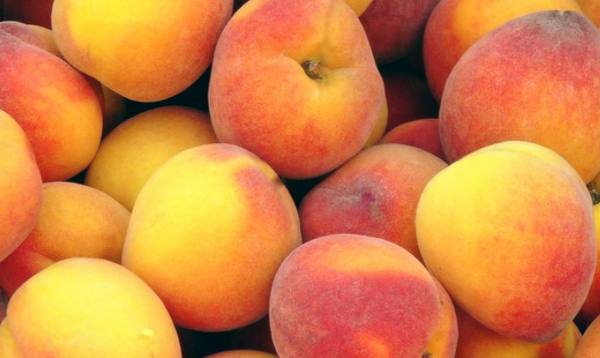 Персики, консервированные в сиропе  варианты полезной заготовки - фото