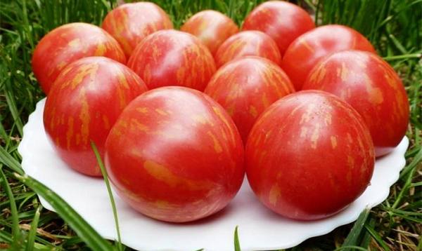 Популярные крупноплодные сорта томатов с фото