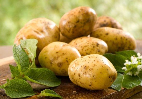 Когда и чем удобрять картофель - фото