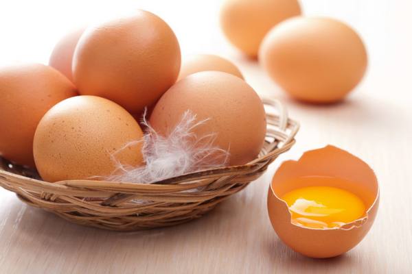 Вес куриного яйца: на заметку хозяйкам и заводчикам кур - фото