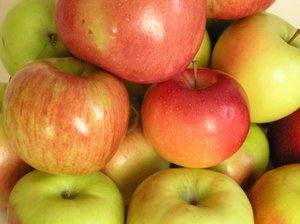 Основные признаки и отличия сортов яблонь с фото