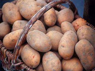 Самые популярные сорта картофеля для Черноземья - фото