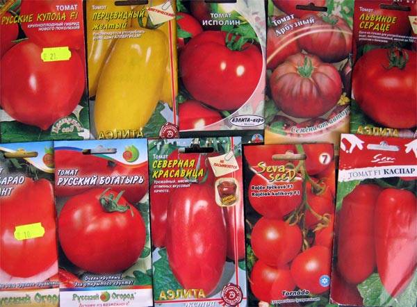 Лучшие семена томатов 2017 для теплиц и открытого грунта с фото
