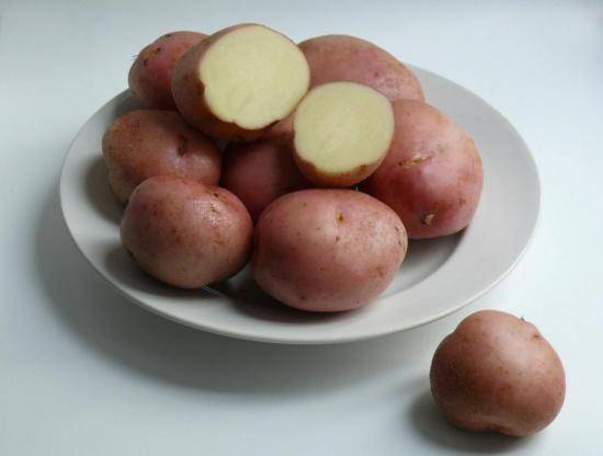 Сорт картофеля Романо - оценка вкуса 5 баллов - фото