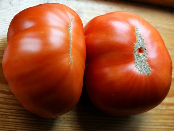 Описание томатов «Гордость Сибири» и их выращивание - фото