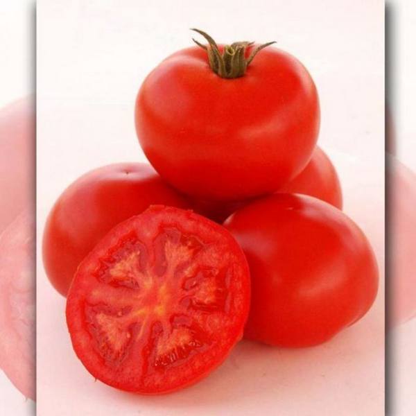 «Линда» и «Линда F1» - описание таких разных томатов - фото