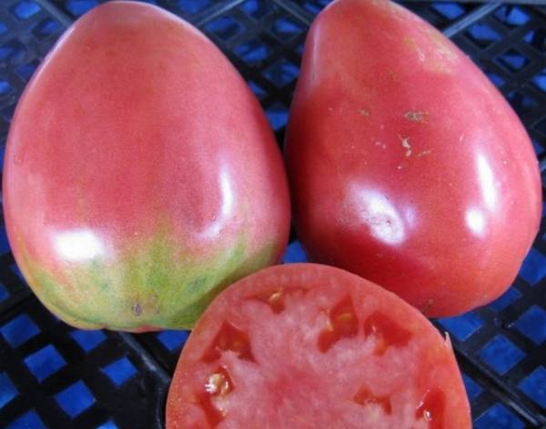 Описание и секреты выращивания томата «Сенсей» - фото