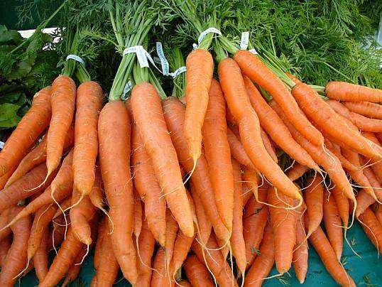 Удивительные свойства моркови и морковного сока - фото