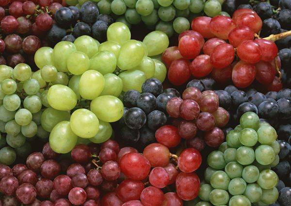 Виноград  это ягода, фрукт или все-таки овощ - фото